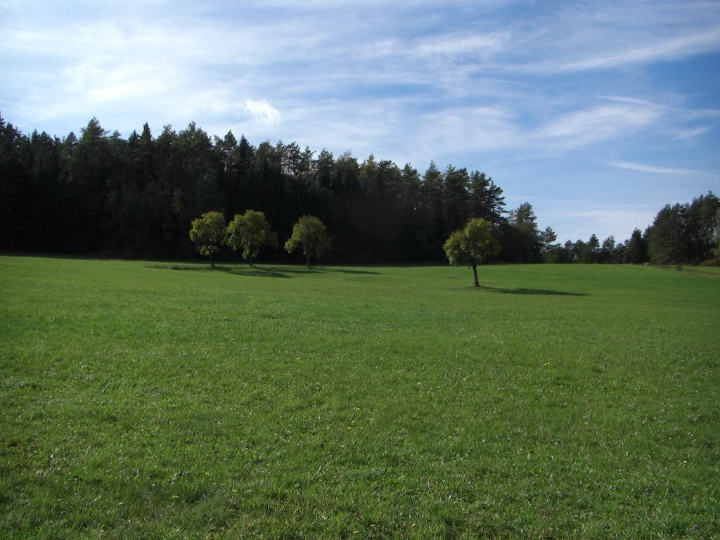 Gasthof Jaegerheim Birgland エクステリア 写真